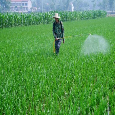 土壤農藥污染與微生物修復技術(shù)